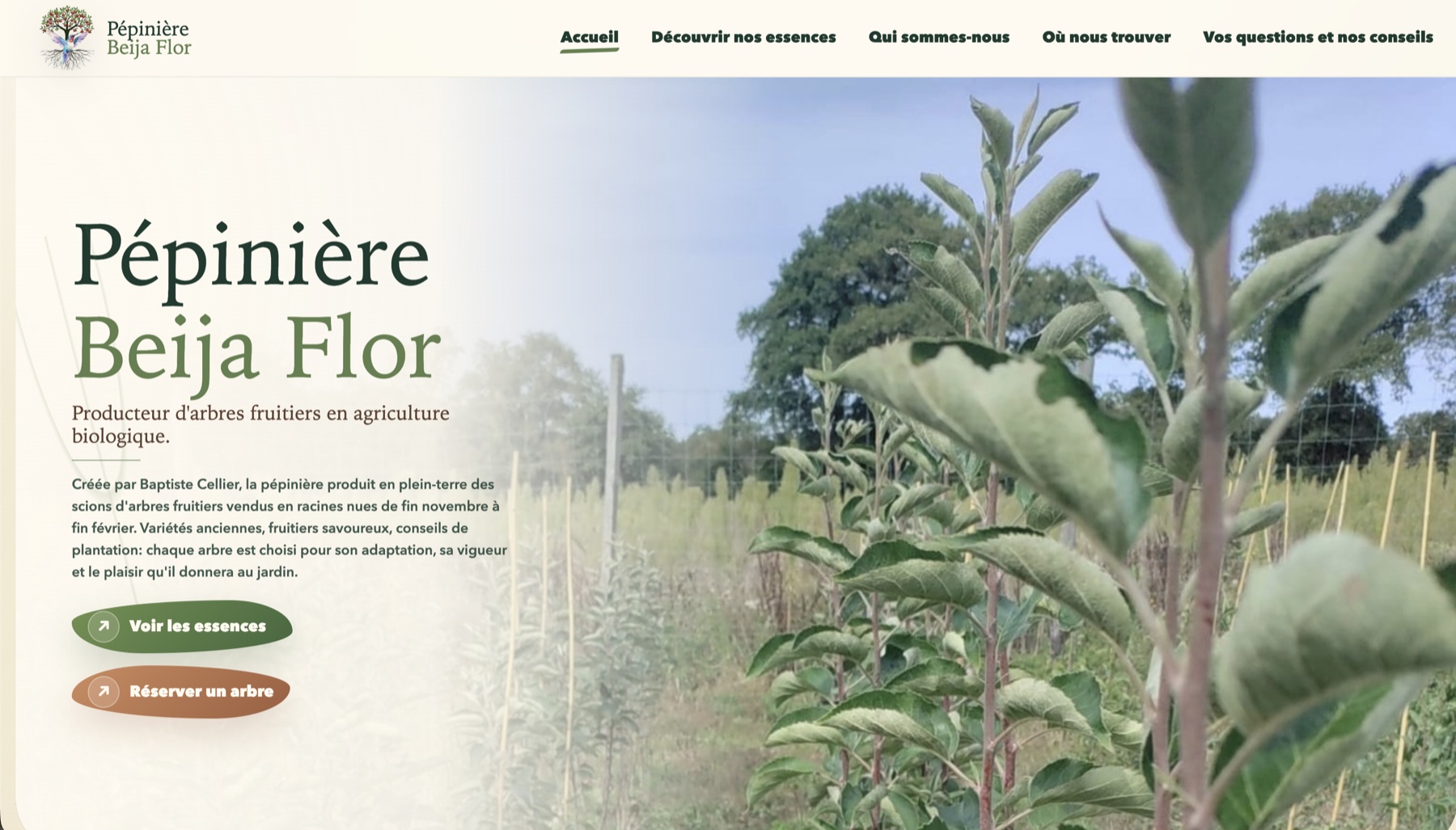 Page d'accueil d'une pépinière biologique avec une photographie de jeunes arbres fruitiers